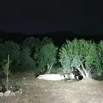 Campsite Terraoliva&herbs *