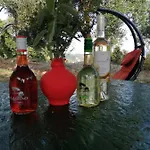 Terraoliva&herbs Campsite Vatos