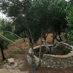 Terraoliva&herbs