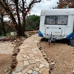 Terraoliva&herbs Campsite Vatos