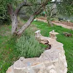 Terraoliva&herbs Campsite Vatos