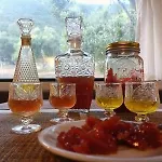 Terraoliva&herbs *