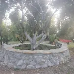 Terraoliva&herbs Campsite Vatos