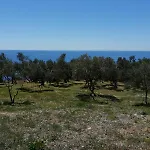 Terraoliva&herbs Campsite Vatos
