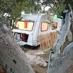 Campsite Terraoliva&herbs