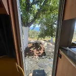 Campsite Terraoliva&herbs *