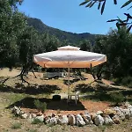Terraoliva&herbs Campsite