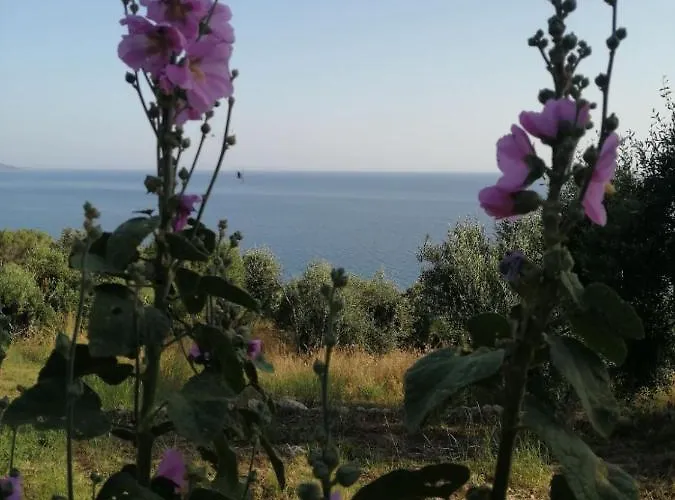 Terraoliva&herbs Кемпинг Vatos