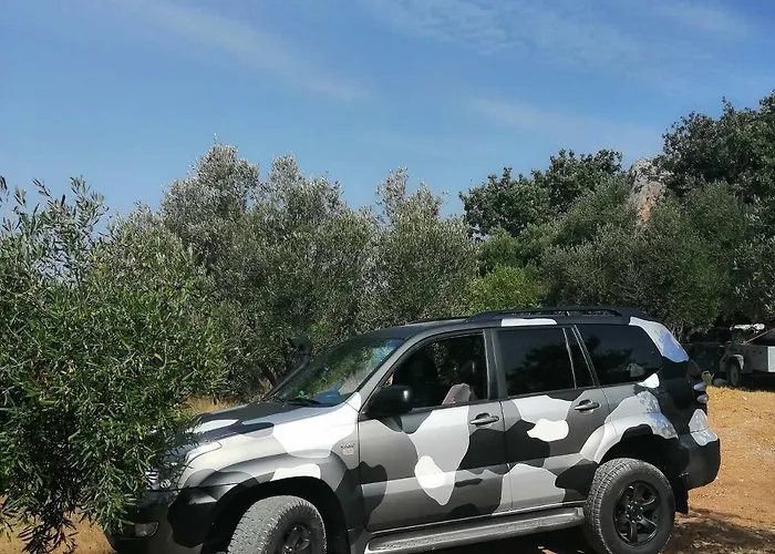 Terraoliva&herbs Vatos