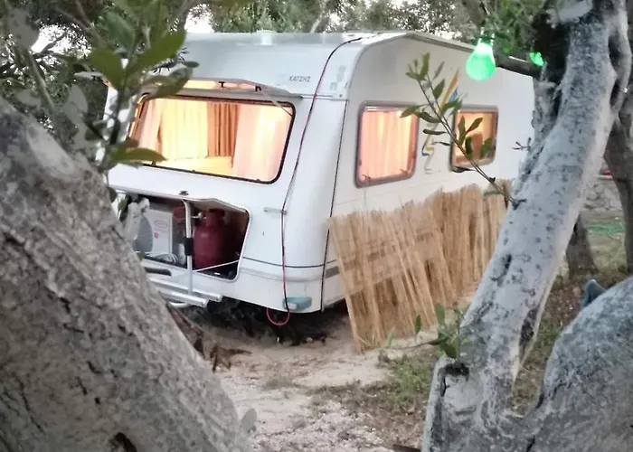 Кемпинг Terraoliva&herbs