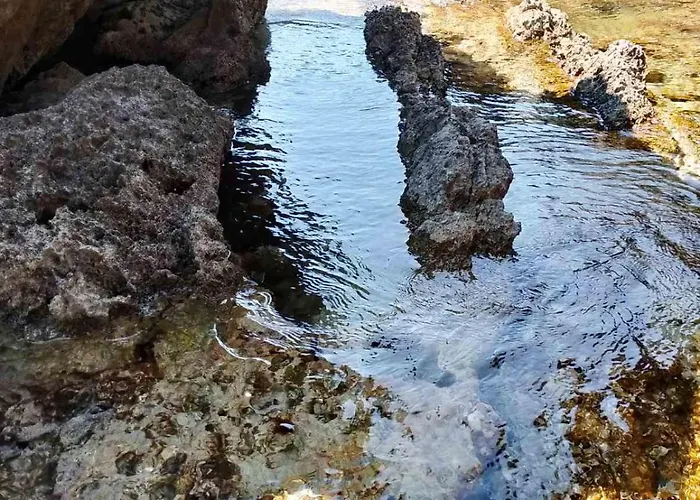 Terraoliva&herbs Кемпинг