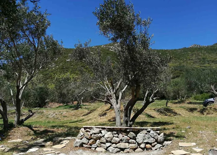 Кемпинг Terraoliva&herbs