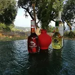 Terraoliva&herbs *