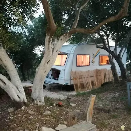 Terraoliva&herbs Campsite