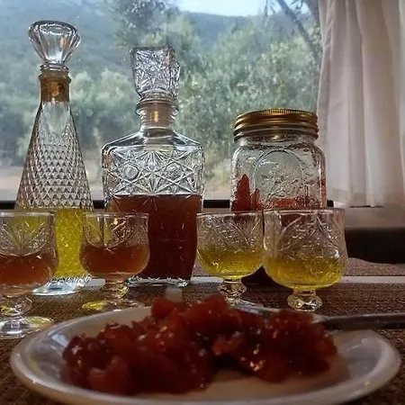 Terraoliva&herbs Campsite