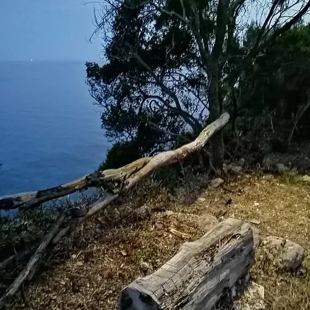 Terraoliva&herbs Campeggio