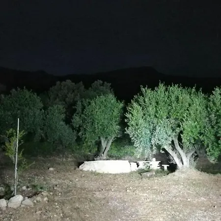 Campsite Terraoliva&herbs *