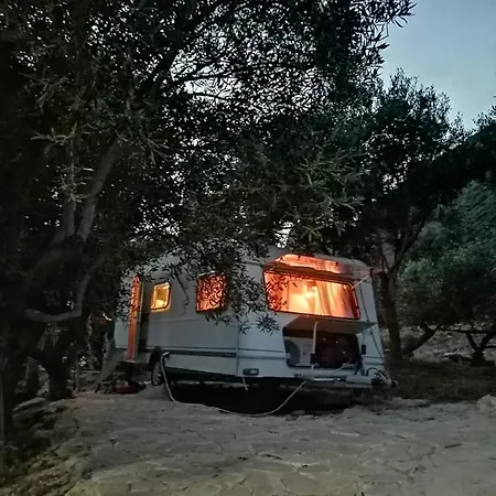 Campsite Terraoliva&herbs