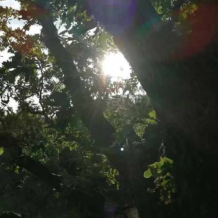 Campeggio Terraoliva&herbs Vátos