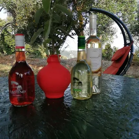 Terraoliva&herbs Campeggio Vátos