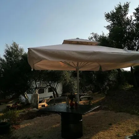 Campsite Terraoliva&herbs