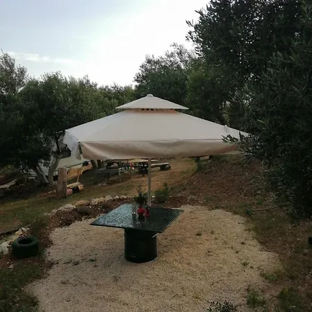 Terraoliva&herbs *