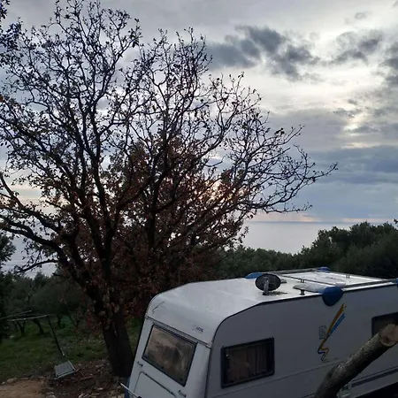 Terraoliva&herbs Vátos