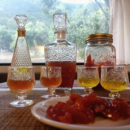 Terraoliva&herbs *