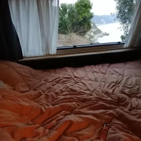 Terraoliva&herbs Campsite