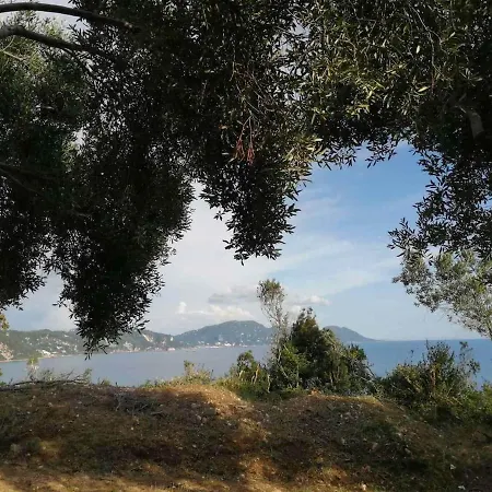 Terraoliva&herbs Campsite