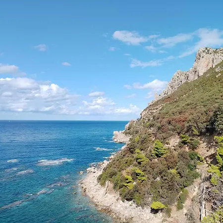 Terraoliva&herbs Campeggio Vátos