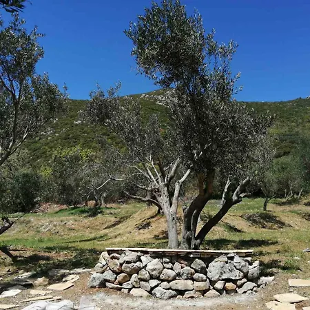 Campsite Terraoliva&herbs