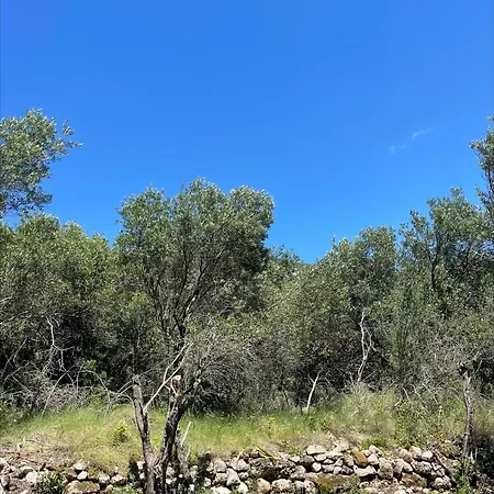 Terraoliva&herbs Campeggio Vátos