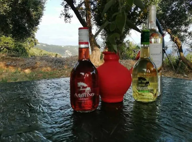 Terraoliva&herbs *