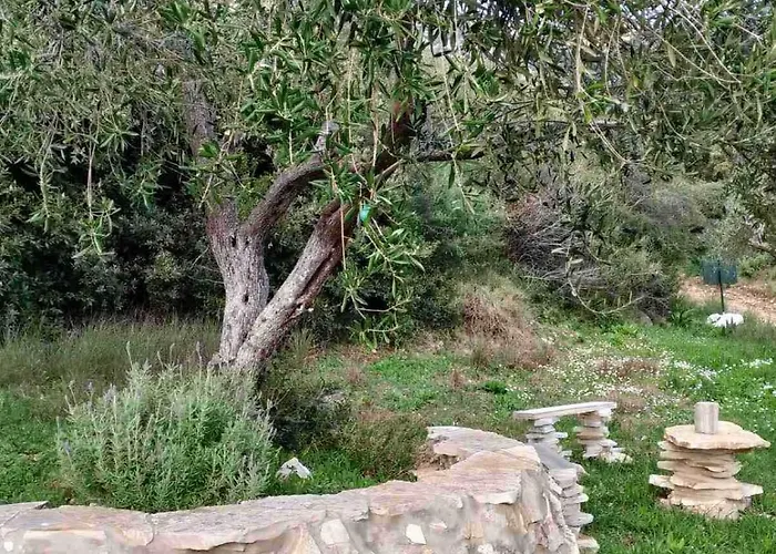 مكان تخييم Terraoliva&herbs *