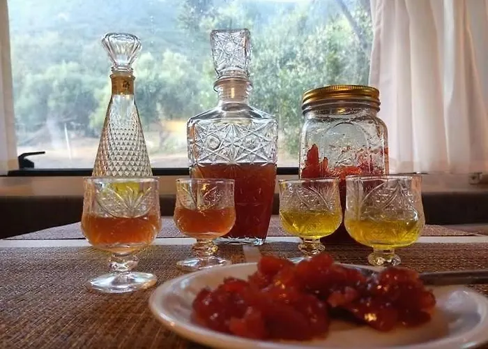 Terraoliva&herbs *