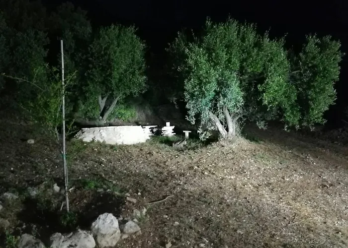 مكان تخييم Terraoliva&herbs
