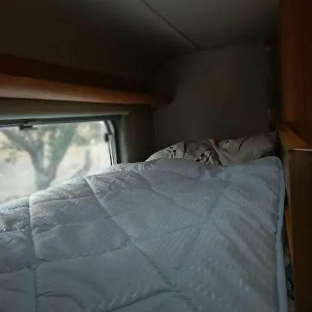 Kemping Terraoliva&herbs