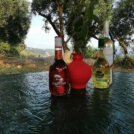 Terraoliva&herbs *
