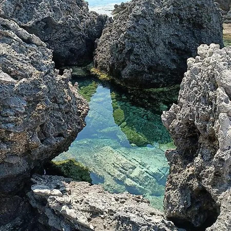 Kemping Terraoliva&herbs