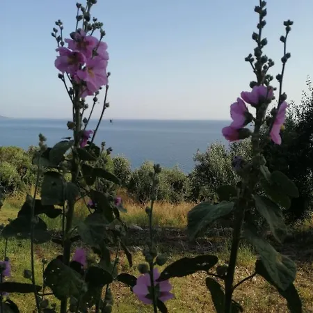 Terraoliva&herbs Kemping Vátos