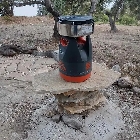 Terraoliva&herbs אתר קמפינג *