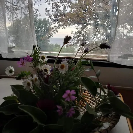 Terraoliva&herbs אתר קמפינג