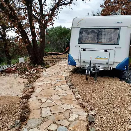 Terraoliva&herbs Kemping Vátos