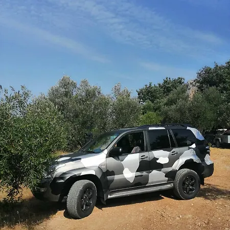 Terraoliva&herbs Vátos