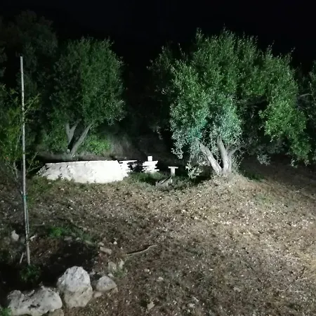 אתר קמפינג Terraoliva&herbs