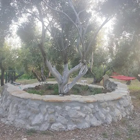 Terraoliva&herbs אתר קמפינג Vátos