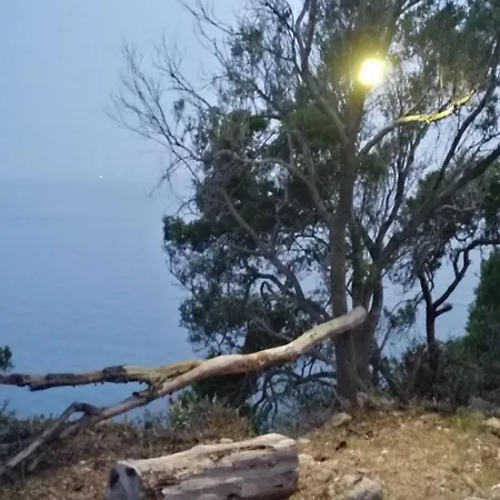 אתר קמפינג Terraoliva&herbs