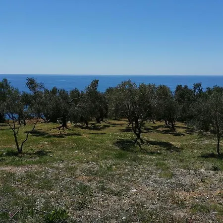 Terraoliva&herbs אתר קמפינג Vátos