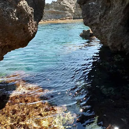 Terraoliva&herbs Vátos